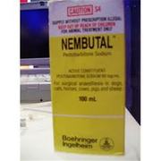 nembutal pentobarbital mexican origin for sale at affordable prices