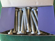 Coach Bolts / bolts /screws    pack 50   12 x 100 mm